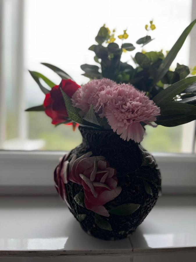 Lala'S Sweet Nest Apartman Călimăneşti Kültér fotó