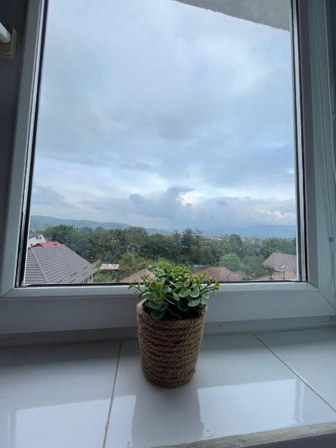 Lala'S Sweet Nest Apartman Călimăneşti Kültér fotó