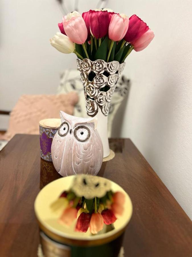Lala'S Sweet Nest Apartman Călimăneşti Kültér fotó