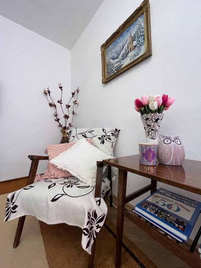Lala'S Sweet Nest Apartman Călimăneşti Kültér fotó